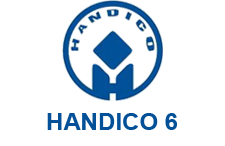 Handico 6